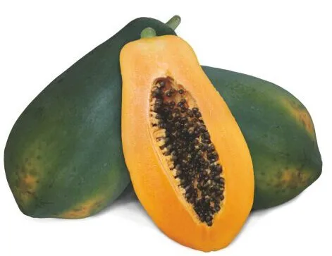 Papaya Hybrid Red Princess (Red Lady) F1 Seeds