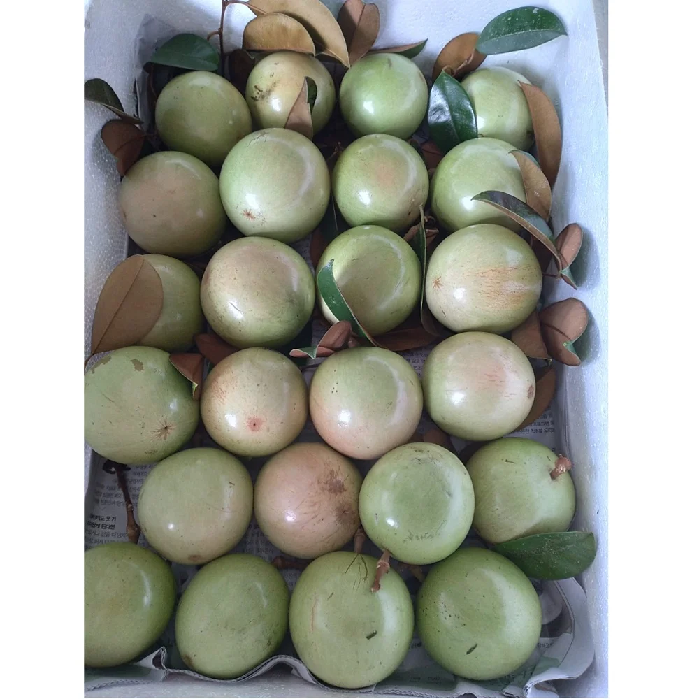 
Top Selling Good Grade White Star Apple With 10 Days Shelf Life From West Of Vietnam 