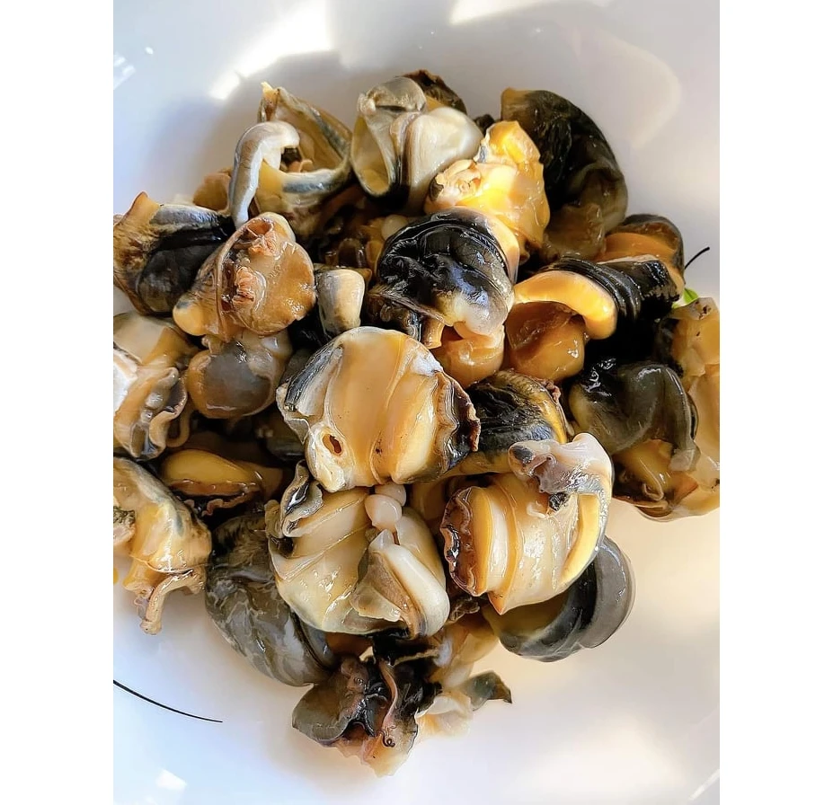 NEW ARRIVAL Golden snail frozen/Fresh Frozen Moon Apple Snail Meat With Best Price from Viet Nam