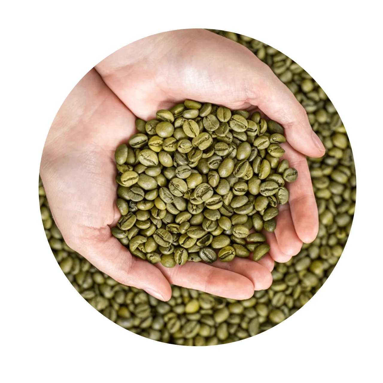  Оптовая продажа кофейные зерна зеленые эспрессо еда напиток