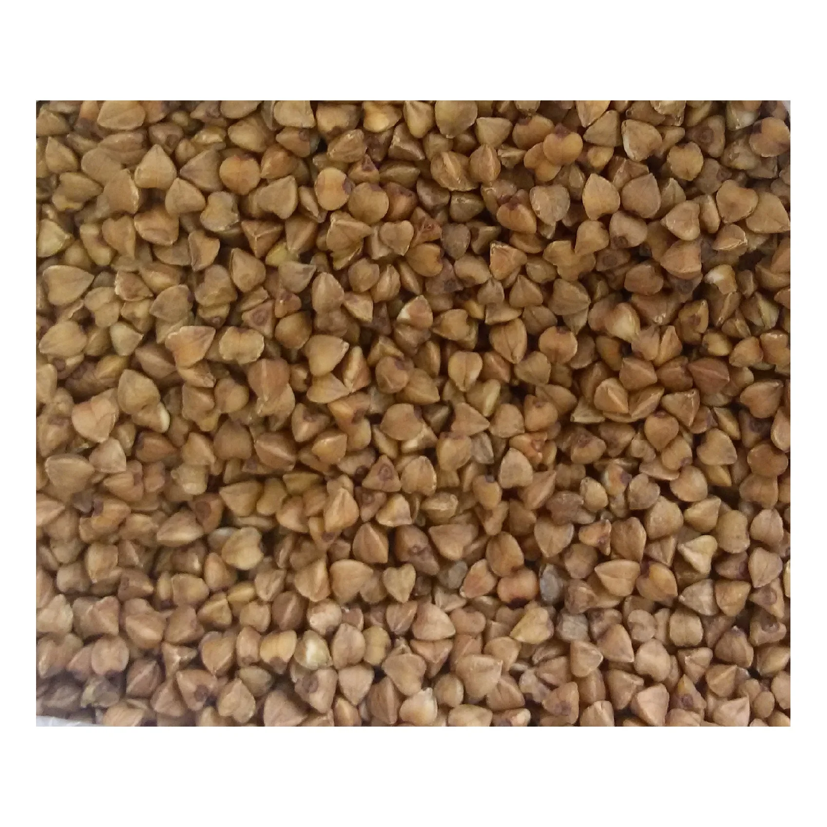 
Hulled buckwheat groats wholesale price from reliable supplier 