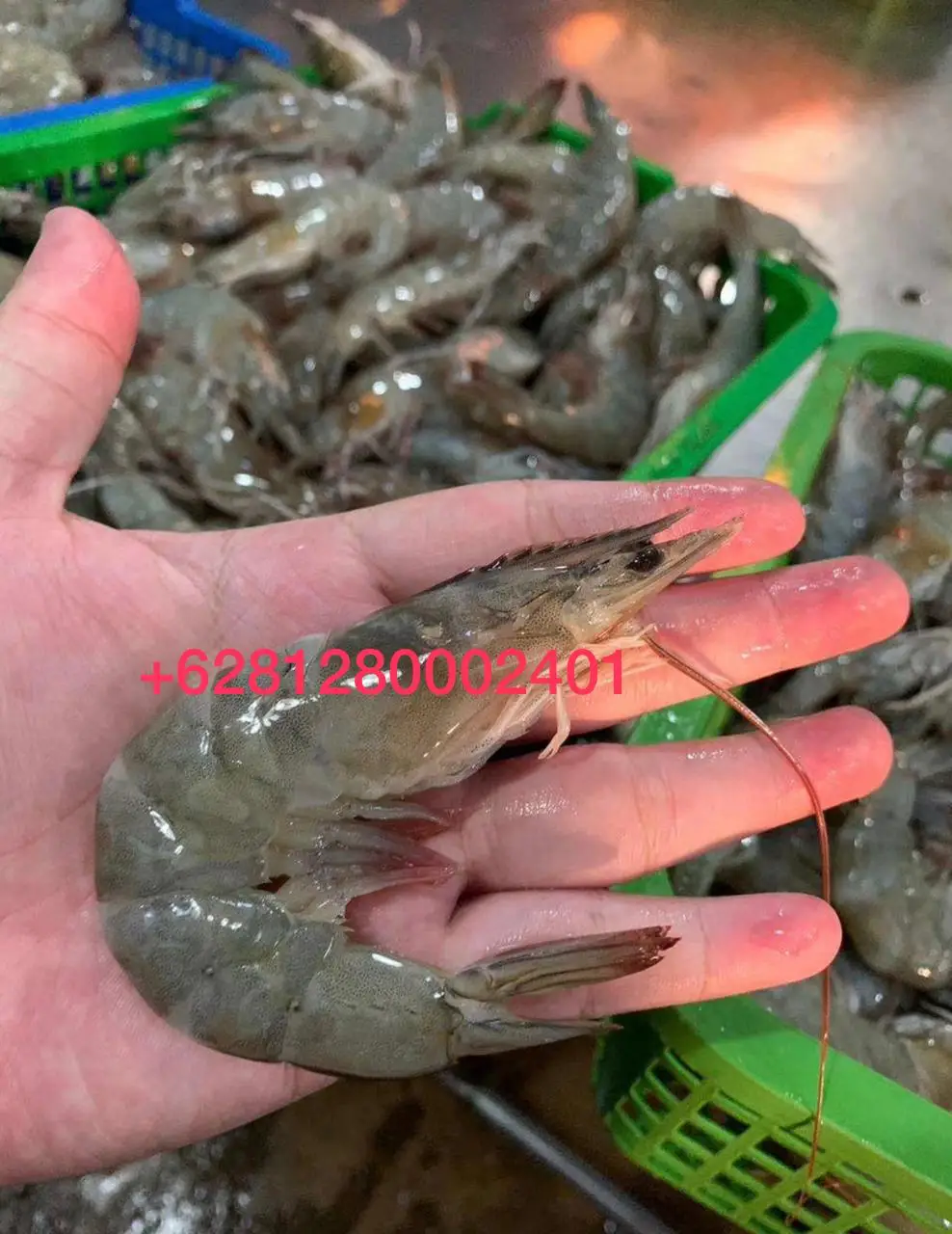 Замороженные белые креветки vannamei вкусные морепродукты замороженные