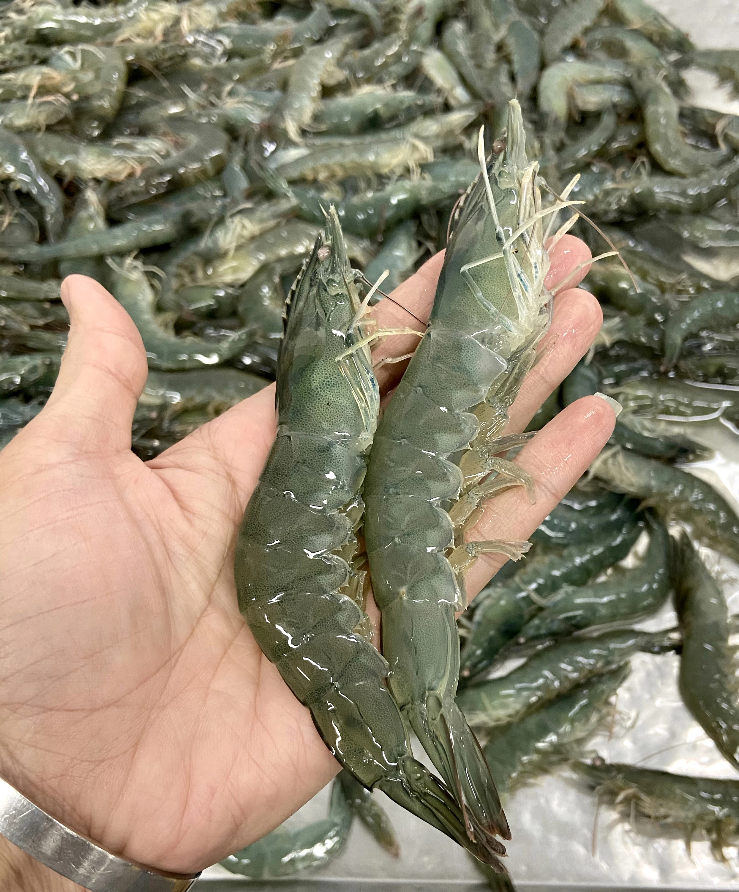  Замороженные изумрудные креветки премиум-класса 500 г производство Малайзии