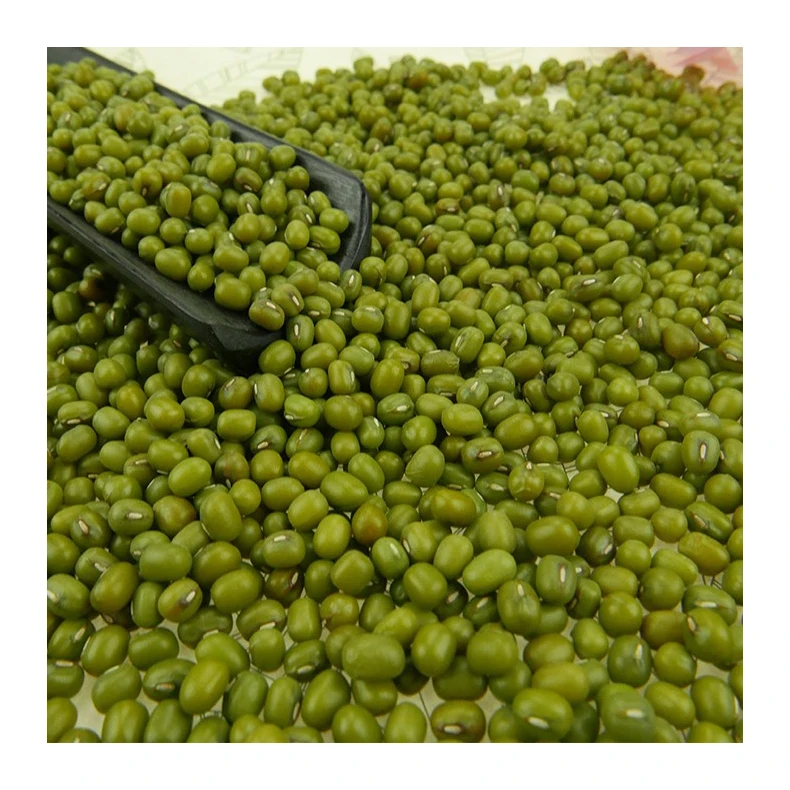 
Green Vigna Mung Beans / Green Mung Beans / Vigna Mung Beans 