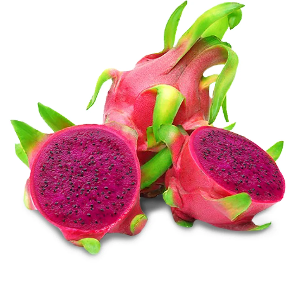 
Provider of the Best Fresh Red Dragon Fruit (VietNam) 