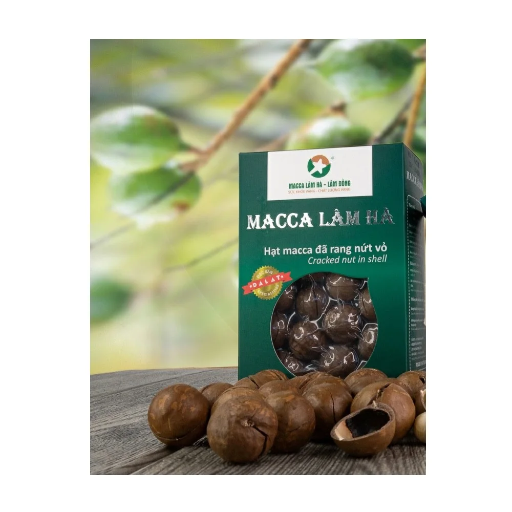 ISO Certification Dry Cracked in Shells Nutritious Seeds  Organic Cultivation Type Macadamia nuts (green box) from Vietnam
