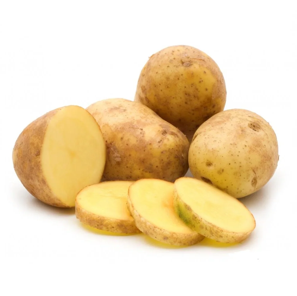 Potato Farm Wholesale Fresh Holland Potatoes Fresh Yellow Skin Potatoes With Lowest Price From Bangladesh