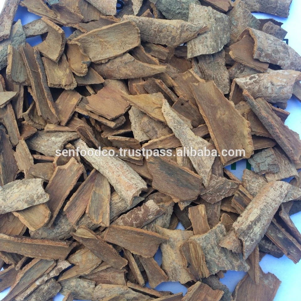BROKEN CASSIA  FROM VIETNAM COMPETITIVE PRICE