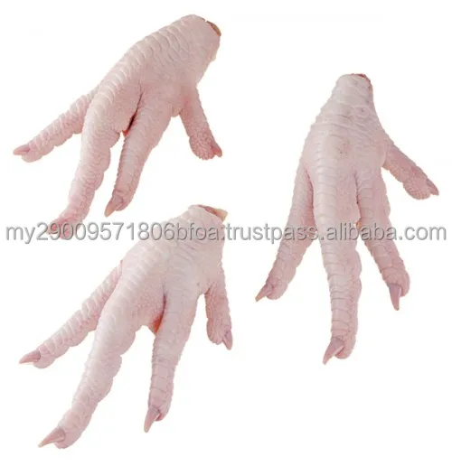 chicken paw.jpg