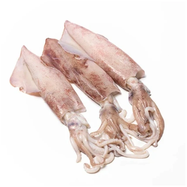 
Wholesale Good Price Frozen Calamari Ring Frozen Calamari Squid Exporter Frozen Calamari Squid For Sale 