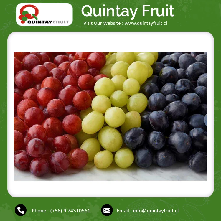 Томпсон без рассады зеленый виноград лидер продаж 2021 оптовая продажа сладкий свежий столовый фрукты