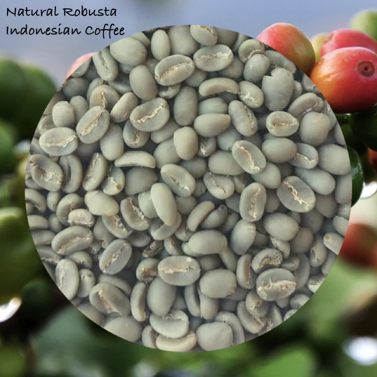 
Green Coffee Beans Robusta from Indonesia 