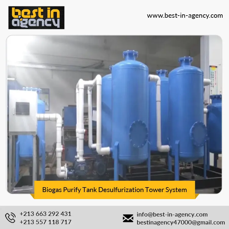 Electrical controlling Carbon Steel Biogas Blower Biogas Purify Tank Desulfurization Tower System