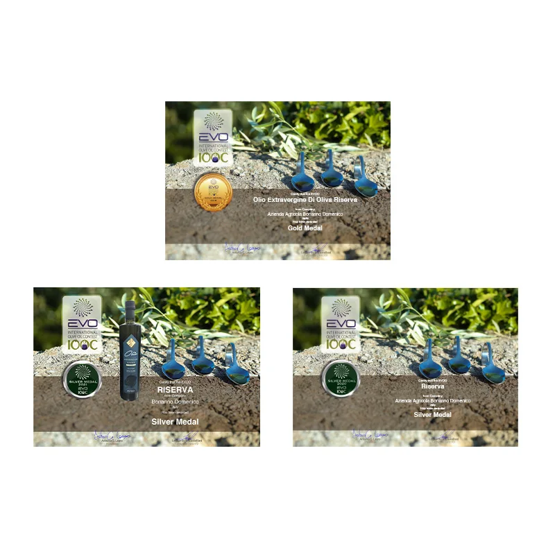 OEM Made in Italy best quality EVO olive oil  3 LT can  eith Spicy intensity and barely ready to ship