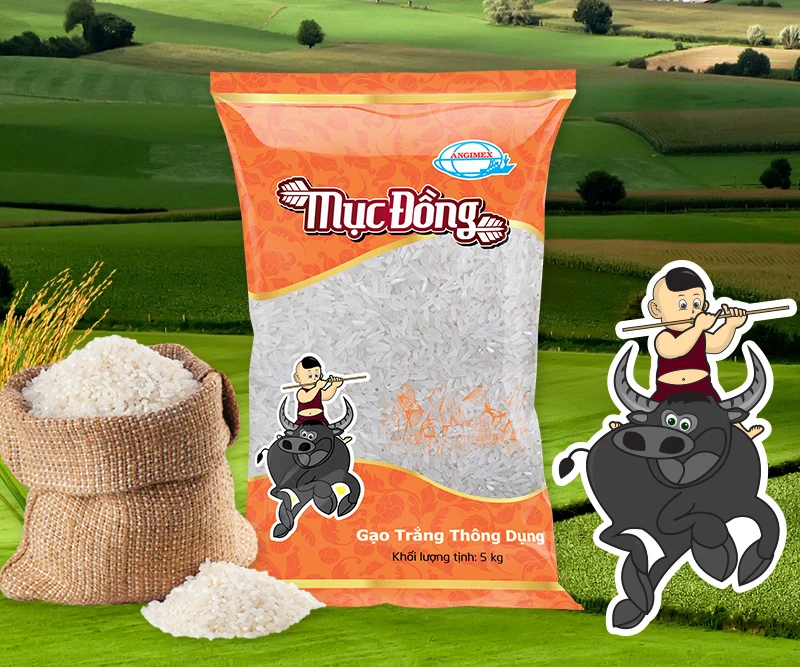 Cheap Long Grain Vietnam White Rice from Vietnam