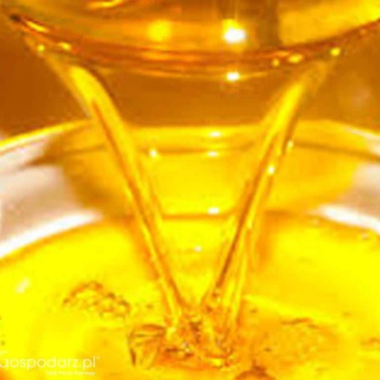 Refined winterized sunflower oil premium grade SUNFLOWER OIL  in bottles