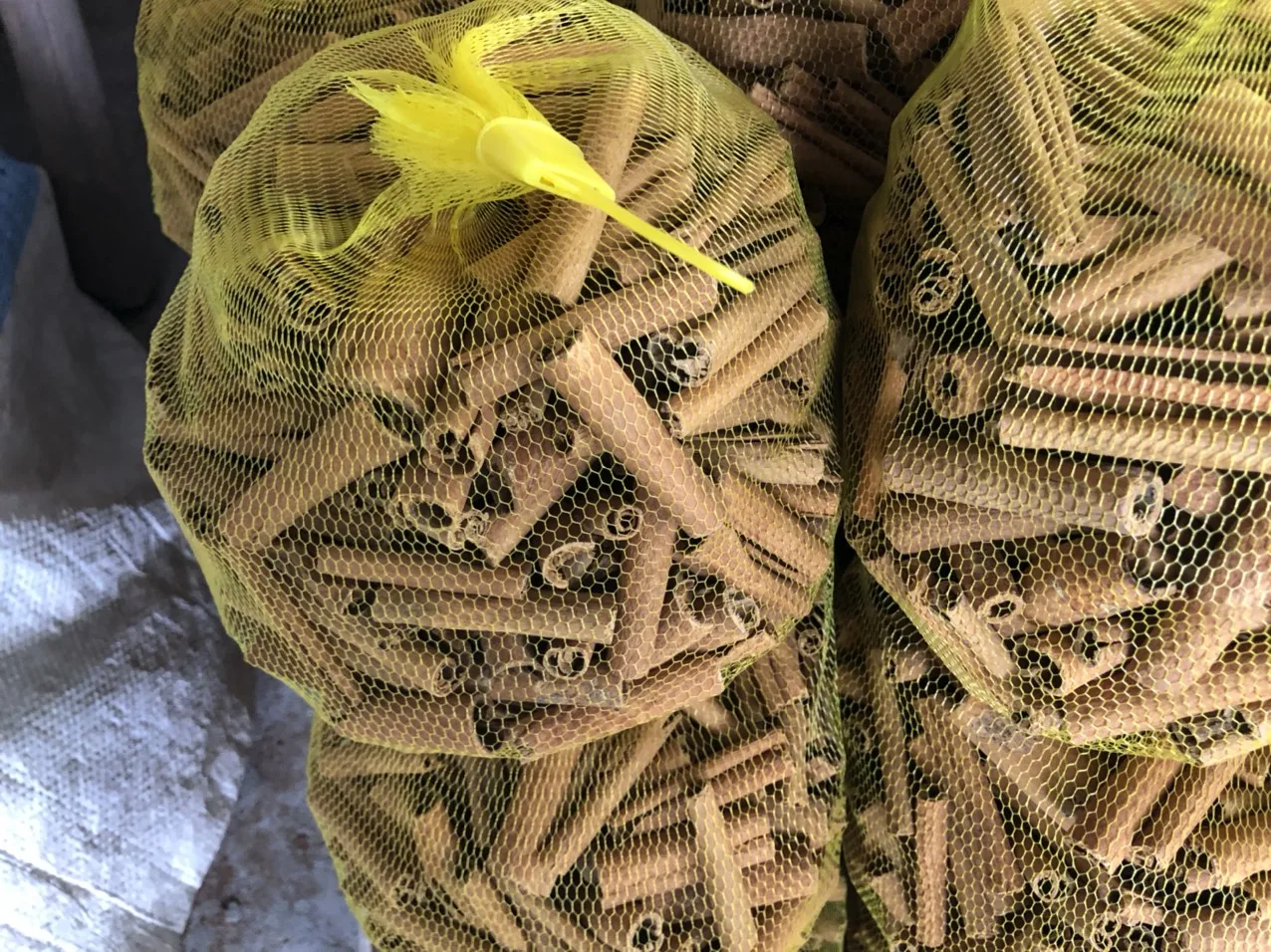 Paus De Cannela/ Cannela En Rama/ Cannella in Bastoncini New Crop 2022