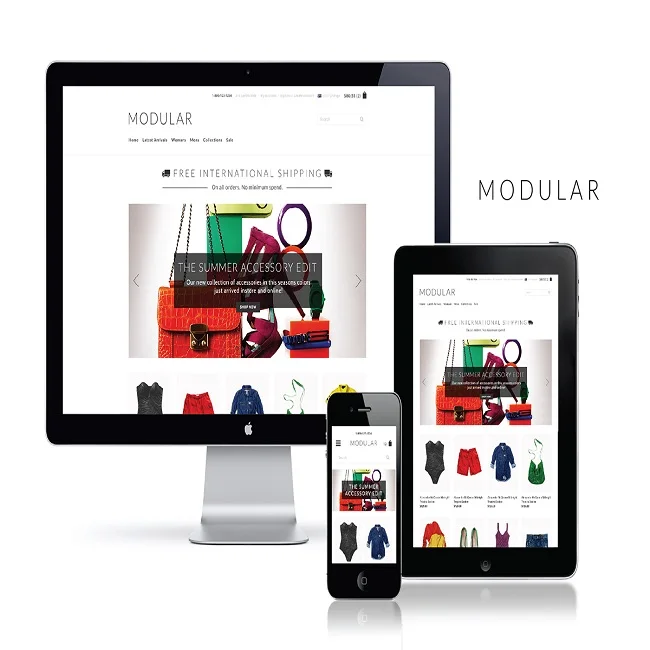 Custom E-Commerce Web Design and Development with SEO | Best Selling Custom Website Development