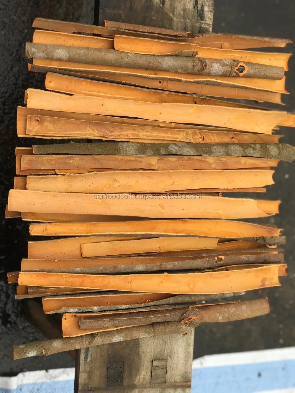 SPLIT CASSIA FROM VIETNAM whatsapp: +84 934 449 569 COMPETITIVE PRICE