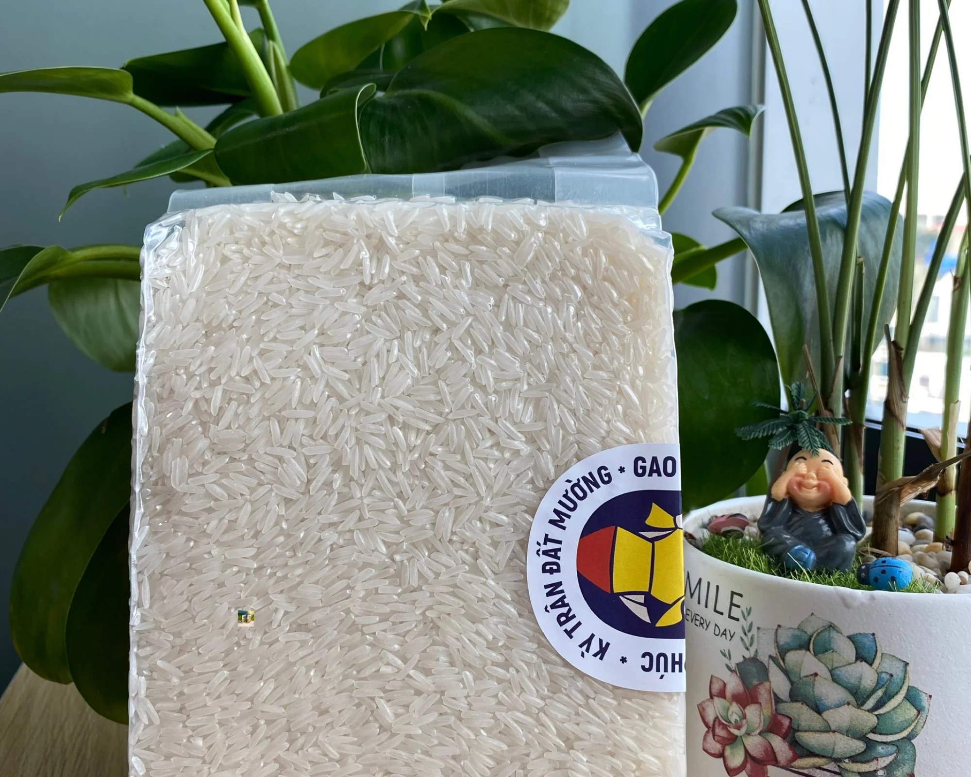 
Vietnamese specialty St25 rice, organic food good for health, best seller 