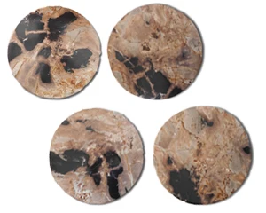Natural Round Petrified Wood Glass Coasters