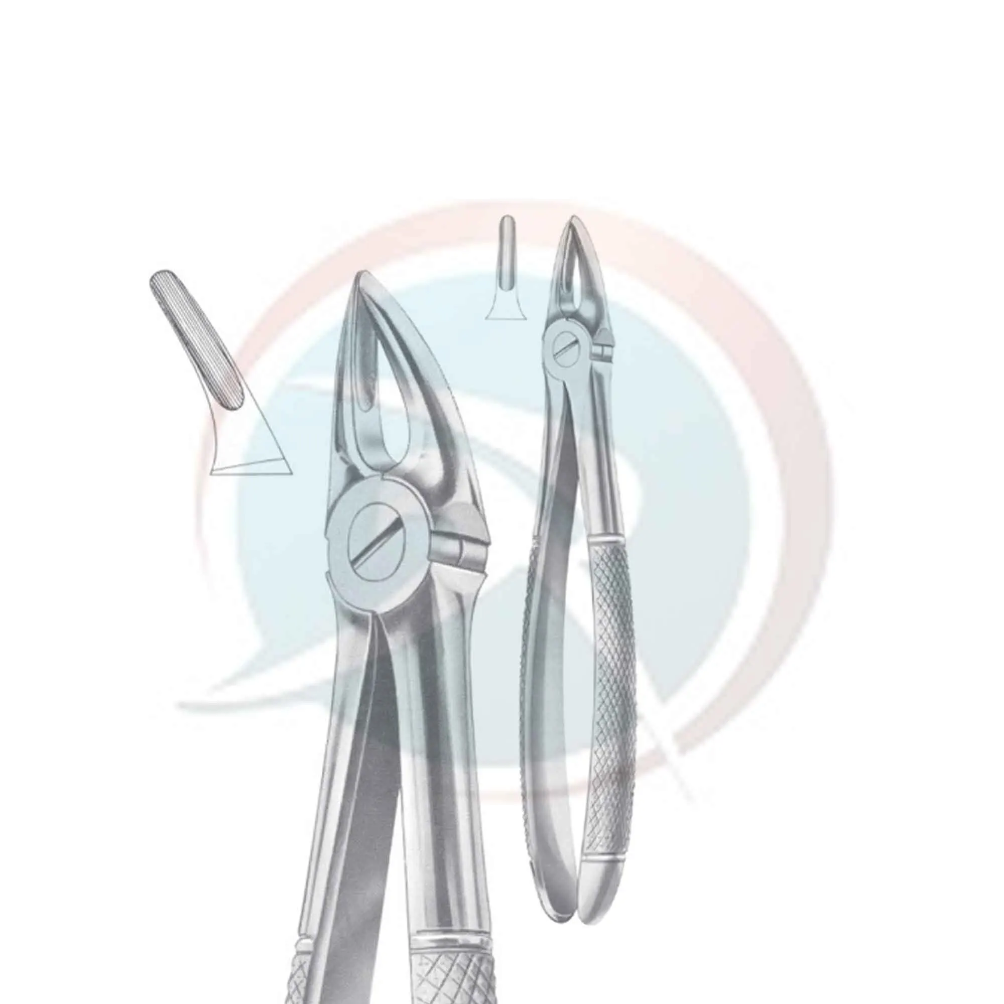Good quality German extraction forceps set Adult