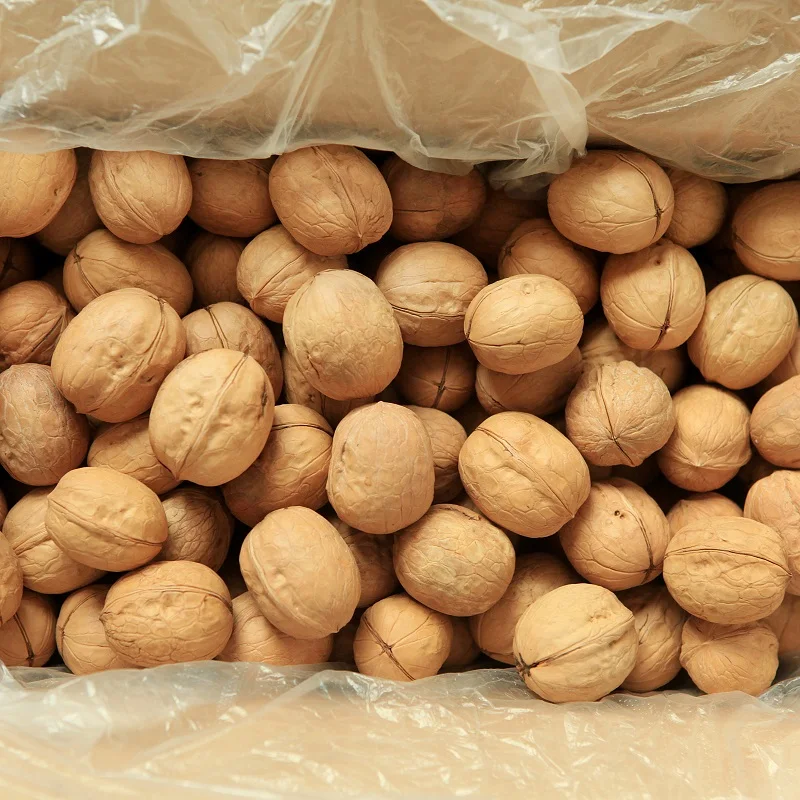 dried-walnuts13da.jpg