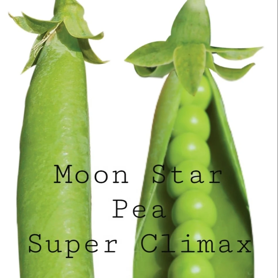 Peas SUPER CLIMAX Seeds