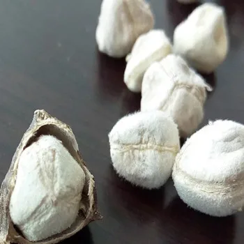 
Free Sample Organic Natural Dried Bulk Moringa Seed Best Price Natural Dry Organic Moringa Oleifera Seeds for Sale 