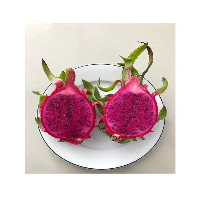 HOT SALE - Vietnam Fresh Red / White Dragon Fruit - High Quality for Sweet Dragon Fruit at Cheap Price