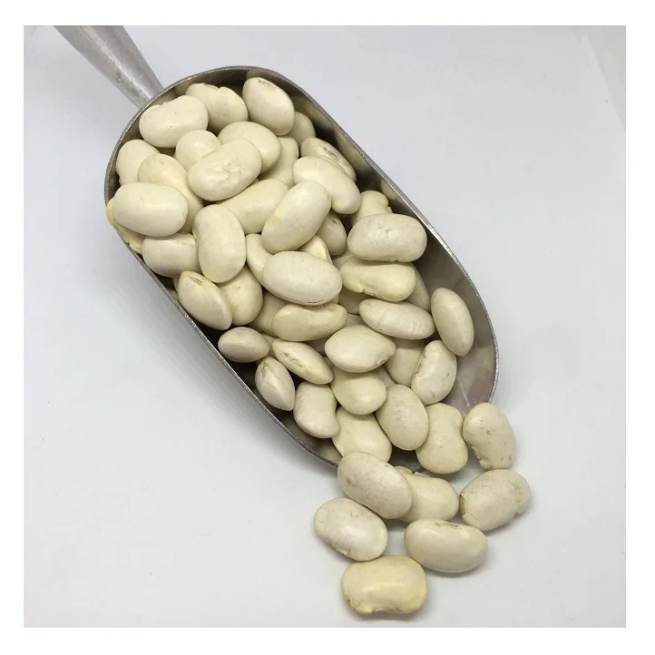 
100% Natural White Butter Beans Available at Cheapest Price In Huge Stock 