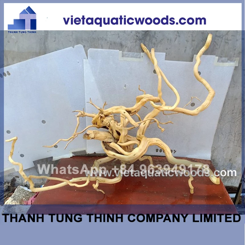 Лидер 2024 натуральные коряги для аквариума аксессуары WhatsApp + 84 963 949 178