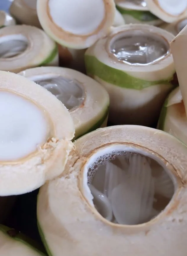 
EWC Wholesale 100% Natural Sweetness Taste Young Coconut Green Color 15cm Fresh Coconut 