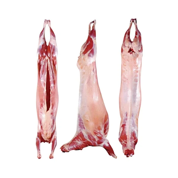 Frozen Halal Lamb Carcass/Halal Goat Carcass/ Frozen Lamb Carcass Exporter