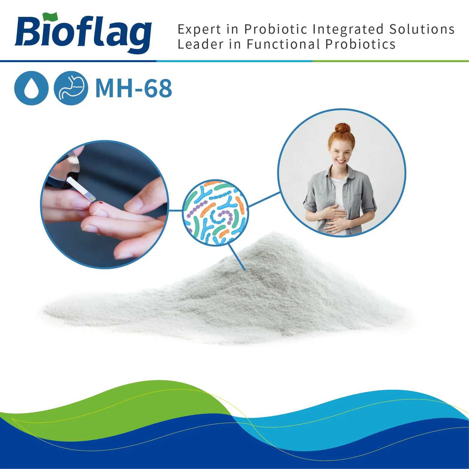 Helicobacter pylori infection prevention and stomach health probiotic Lactobacillus johnsonii MH-68