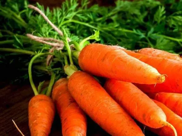 IQF Frozen Carrots Diced/Sliced - Tropical Fruits & Vegetables from Vietnam