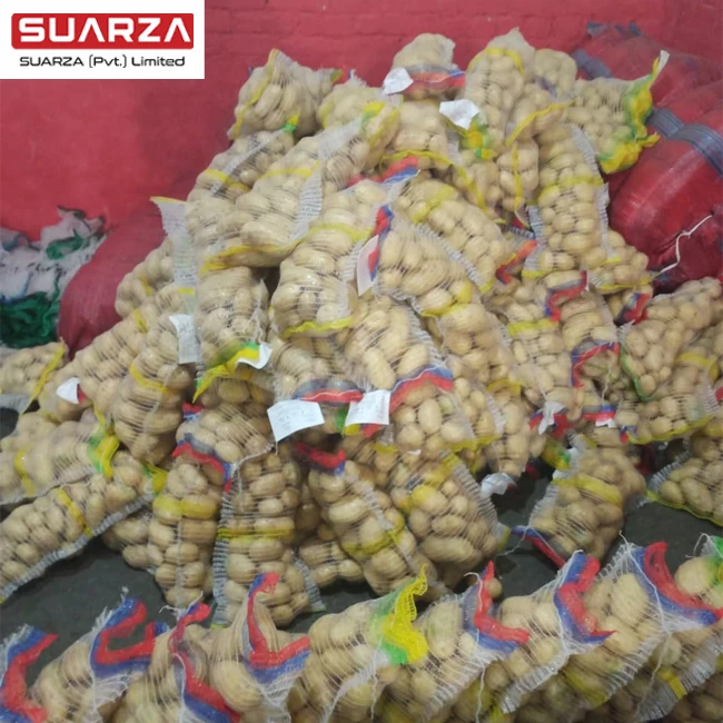 Свежий белый картофель мозика доступен из Пакистана по конкурентоспособной рыночной цене