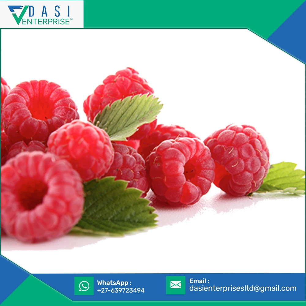  Customer Satisfied Top Quality Natural Fresh Red Raspberries From South Africa At Wholesale