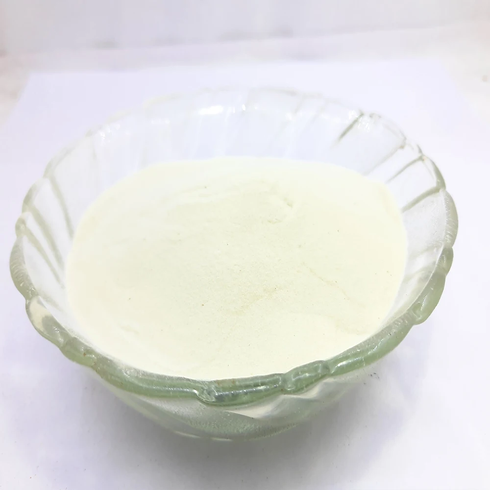 Serrapeptase 2400 IU Food Powder Enzymes