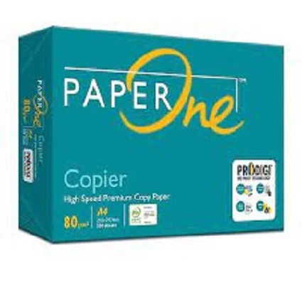paperone 1.jpg