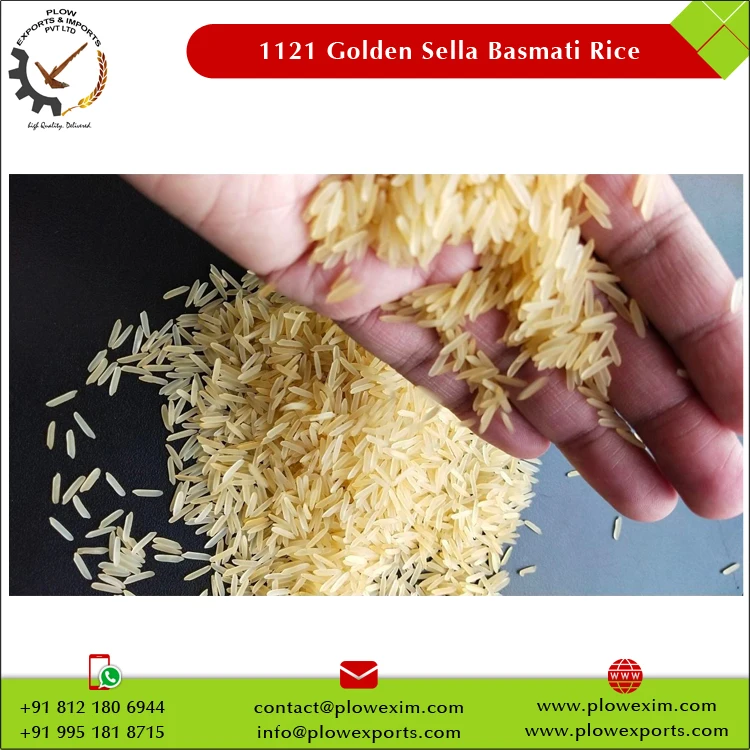 Long-Grain 1121 Golden Sella Basmati Rice at Low Market Price