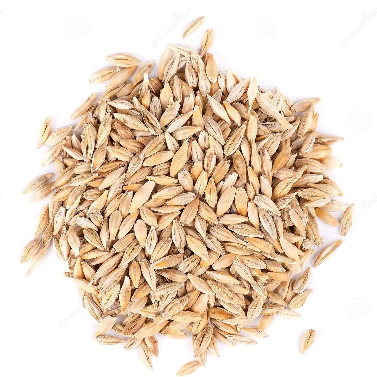 
Kazakhstan Barley Grain Wholesale 