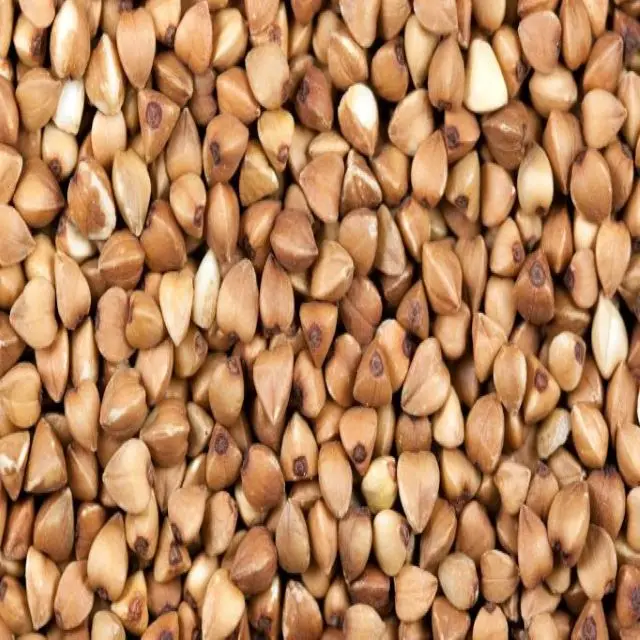 High quality dried buckwheat grain from Ukraine