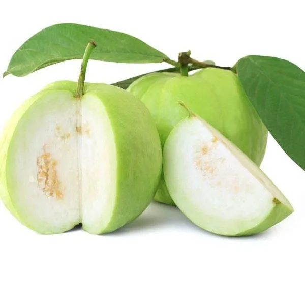 
High quality 2020 organic guava origin Vietnam for export competitive price 