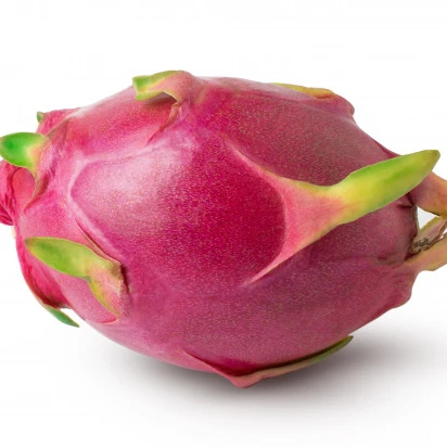 Fresh Dragon fruit from Vietnam