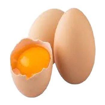 Top Quality White Shell Chicken Eggs at Wholesale Price