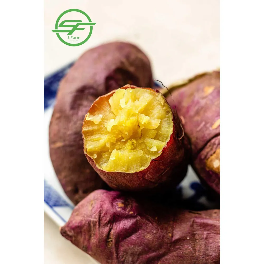 100% экологически чистые Оптовые натуральные желтые сладкие картофели Rick Nutrition (Whatsapp/zalo/wechat: + 84 912 964