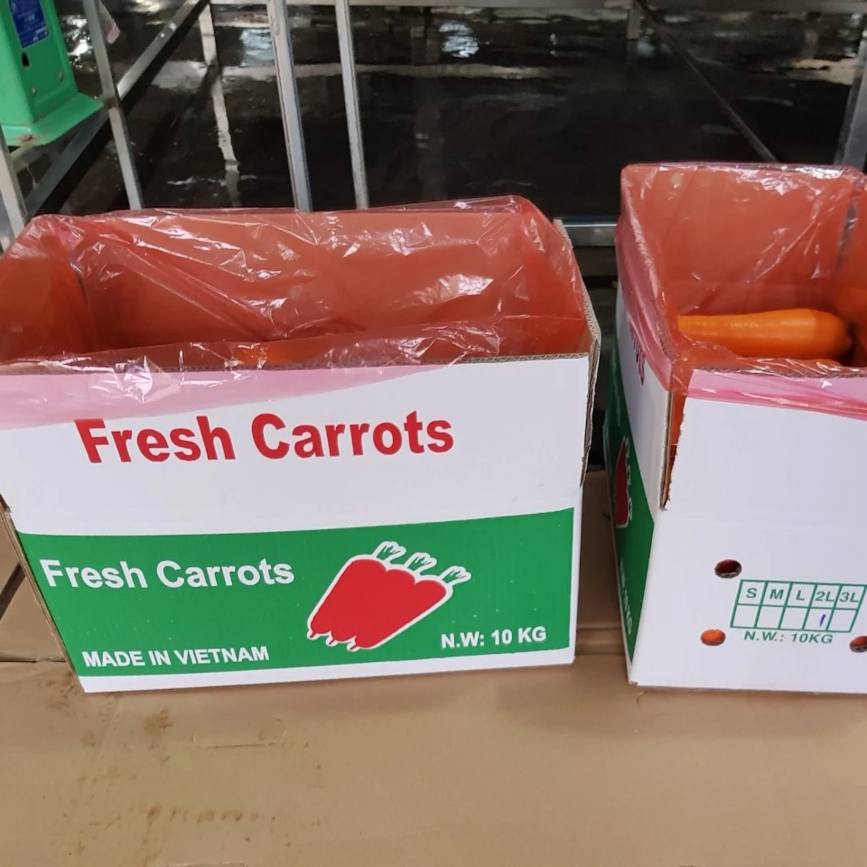 Свежая морковь carrotfresh цена экспорт оптовая упаковка 4 5 кг нетто (тел./whatsapp/ viber: 0084 989 322 607)