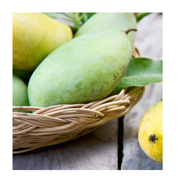 Cheap Wholesale Price Keitt Pakistani Mangoes In Bulk