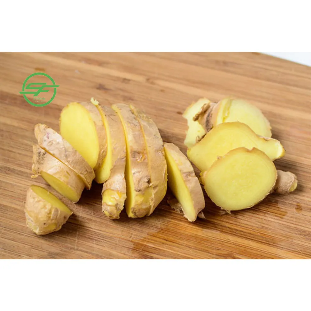 Vietnam good farmer ginger factory price for export in bulk (Whatsapp/zalo/wechat: +84 912 964 858)